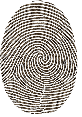 img-identification-1.png