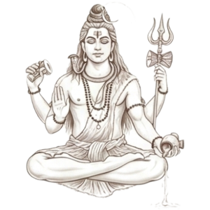 maha-mrityunjaya-homam