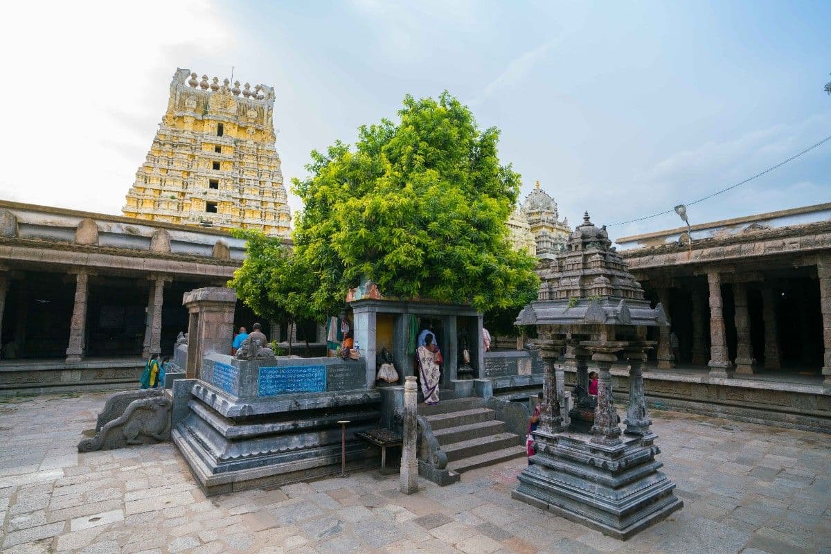 Ekambaranathar-Temple